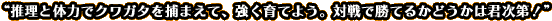 “推理と体力でクワガタを捕まえて、強く育てよう。対戦で勝てるかどうかは君次第！”