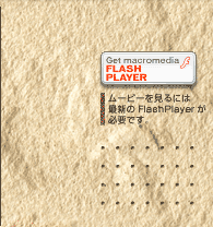 GET FlashPlayer