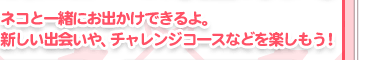 ネコと一緒におでかけできるよ。新しい出会いや、チャレンジコースなどを楽しもう！