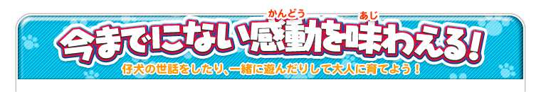 今までにない感動を味わえる！　仔犬の世話をしたり、一緒に遊んだりして大人に育てよう！