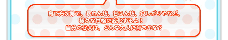 育て方次第で、暴れん坊、甘えん坊、寂しがりやなど、様々な性格に変化するよ！　自分の仔犬は、どんな大人に育つかな？