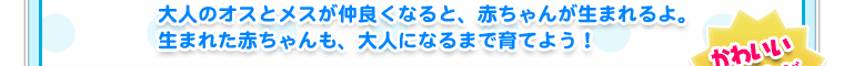 大人のオスとメスが仲良くなると、赤ちゃんが生まれるよ。生まれた赤ちゃんも、大人になるまで育てよう！