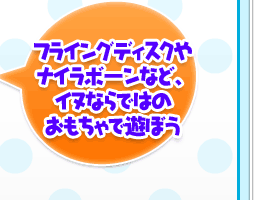 フライングディスクやナイラボーンなど、イヌならではのおもちゃで遊ぼう