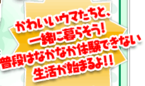 かわいいウマたちと、一緒に暮らそう！普段はなかなか体験できない生活が始まるよ！！