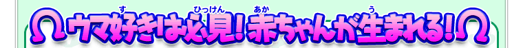 ウマ好きは必見！赤ちゃんが生まれる！