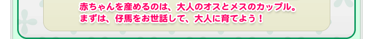 赤ちゃんを産めるのは、大人のオスとメスのカップル。まずは、仔馬をお世話して、大人に育てよう！