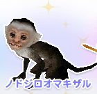 ノドジロオマキザル