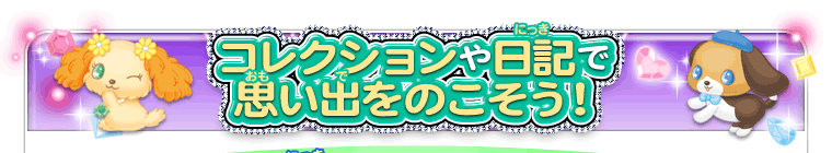 コレクションや日記で思い出をのこそう！