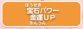 宝石パワー 金運ＵＰ