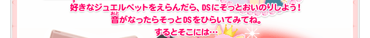 好きなジュエルペットをえらんだら、DSにそっとおいのりしよう！音がなったらそっとDSをひらいてみてね。するとそこには…