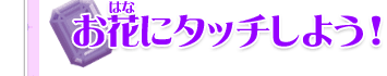 お花にタッチしよう！