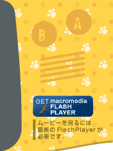 GET FlashPlayer