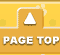 PAGE TOP