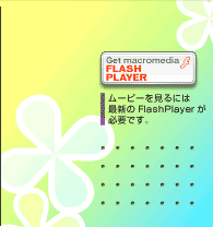 GET FlashPlayer