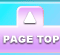 PAGE TOP