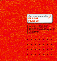 GET FlashPlayer