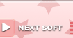 NEXT SOFT