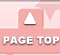 PAGE TOP