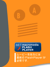 GET FlashPlayer
