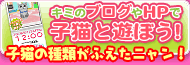 かわいい子猫DSのブログパーツが登場！キミのブログやHPで子猫と遊ぼう！