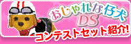 おしゃれな仔犬DS コンテストセット紹介！