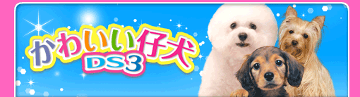 かわいい仔犬DS3
