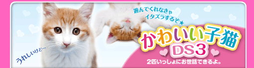 かわいい子猫DS3
