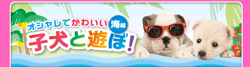 オシャレでかわいい 子犬と遊ぼ！-海編-