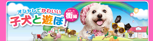 オシャレでかわいい 子犬と遊ぼ！-街編-
