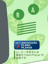 GET FlashPlayer