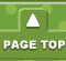 PAGE TOP