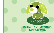 リョク(緑茶犬)