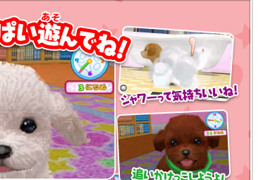 かわいい仔犬3d 公式ページ