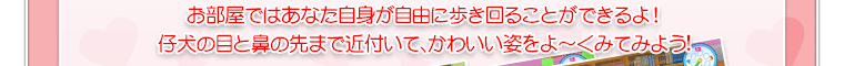 お部屋ではあなた自身が自由に歩き回ることができるよ！仔犬の目と鼻の先まで近付いて、かわいい姿をよ～くみてみよう!