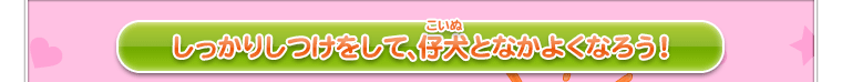 しっかりしつけをして、仔犬となかよくなろう！