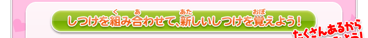 しつけを組み合わせて、新しいしつけを覚えよう！たくさんあるからためしてみよう！ 