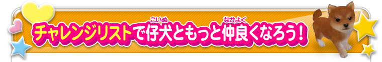 チャレンジリストで仔犬ともっと仲良くなろう！