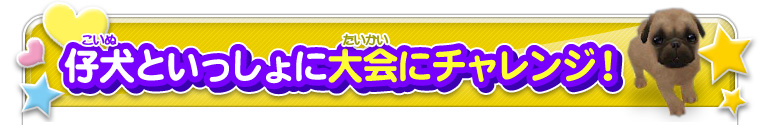 仔犬といっしょに大会にチャレンジ！