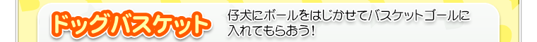 ドッグバスケット　仔犬にボールをはじかせてバスケットゴールに入れてもらおう！