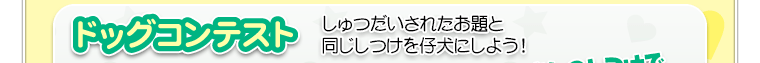 ドッグコンテスト　しゅつだいされたお題と同じしつけを仔犬にしよう！