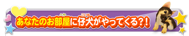 あなたのお部屋に仔犬がやってくる？！