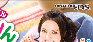 �j���e���h�[DS��p�\�t�g