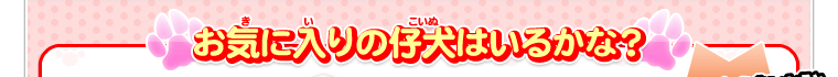 お気に入りの仔犬はいるかな？