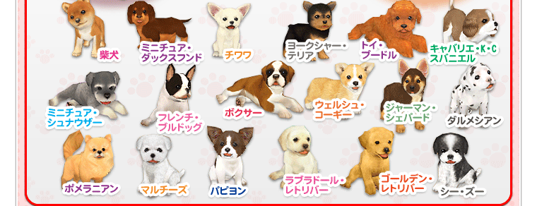 ダルメシアン,キャバリエ・K・C・スパニエル,フレンチ・ブルドッグ,ボクサー,マルチーズ,パピヨン,柴犬,トイ・プードル,ジャーマン・シェパード,ゴールデン・レトリバー,ラブラドール・レトリバー,コーギー,ミニチュア・ダックスフント,チワワ,シー・ズー,ミニチュア・シュナウザー,ポメラニアン,ヨークシャー・テリア