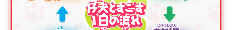 仔犬とすごす1日の流れ