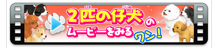 2匹の仔犬のムービーをみるワン！