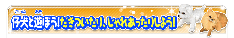 仔犬と遊ぼう！だきついたり、じゃれあったりしよう！