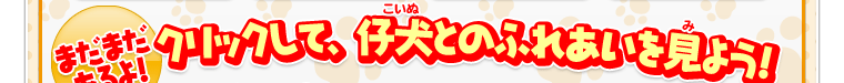 まだまだあるよ！クリックして仔犬とのふれあいを見よう！