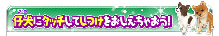 仔犬にタッチしてしつけをおしえちゃおう！