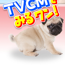 TVCMをみるワン！